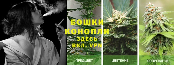не бодяженный Покров