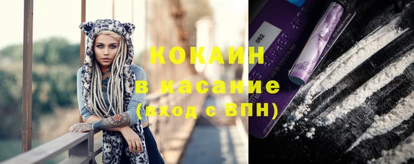 ГАЛЛЮЦИНОГЕННЫЕ ГРИБЫ Покачи