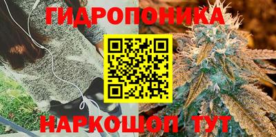 хмурый Бийск