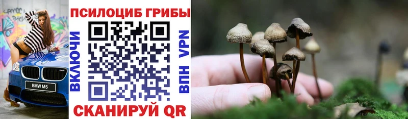 Галлюциногенные грибы Cubensis  Бугуруслан 