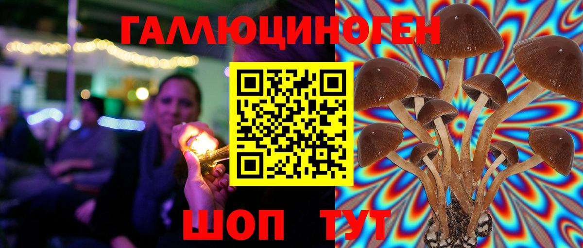 Бугуруслан  Псилоцибиновые грибы GOLDEN TEACHER  Вход с VPN  Галлюциногенные грибы MAGIC MUSHROOMS 