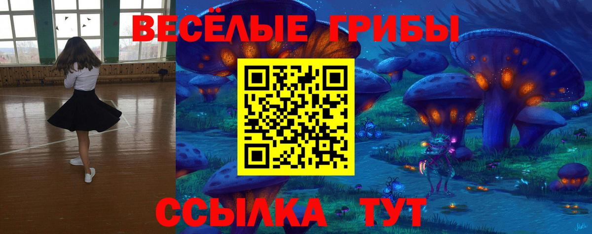 Псилоцибиновые грибы прущие грибы  Бугуруслан 